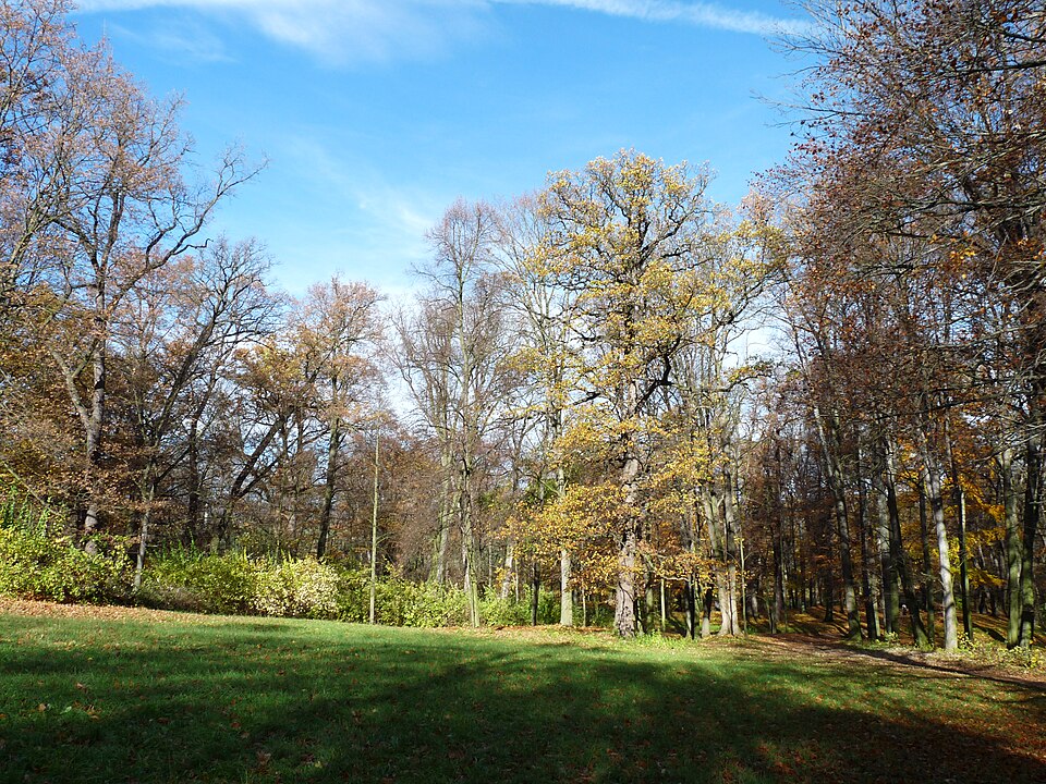 Park zámku Krásny Dvor
