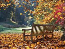when to fertilize the lawn in autumn