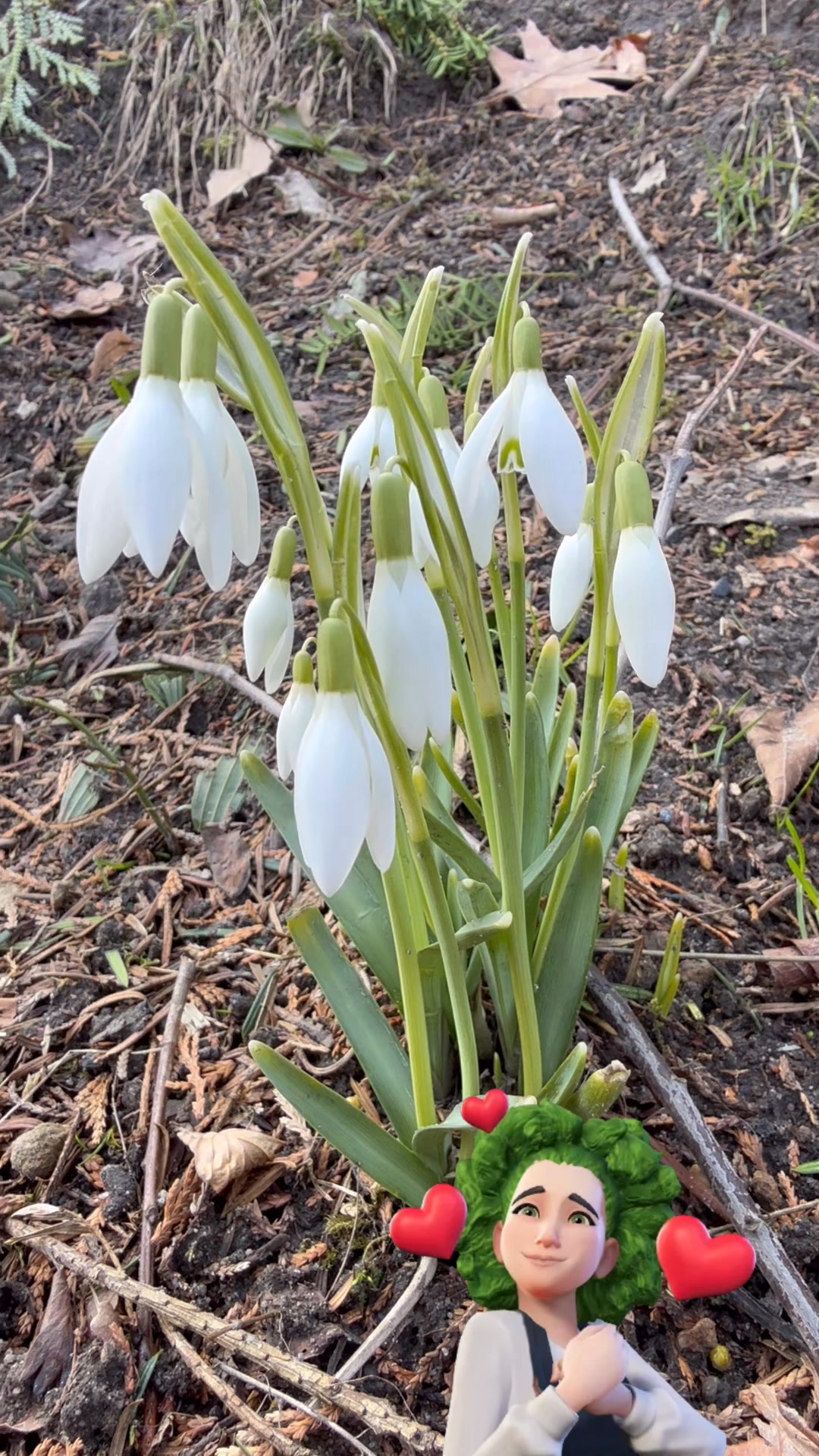 Facebook příspěvek HNOJIK.CZ