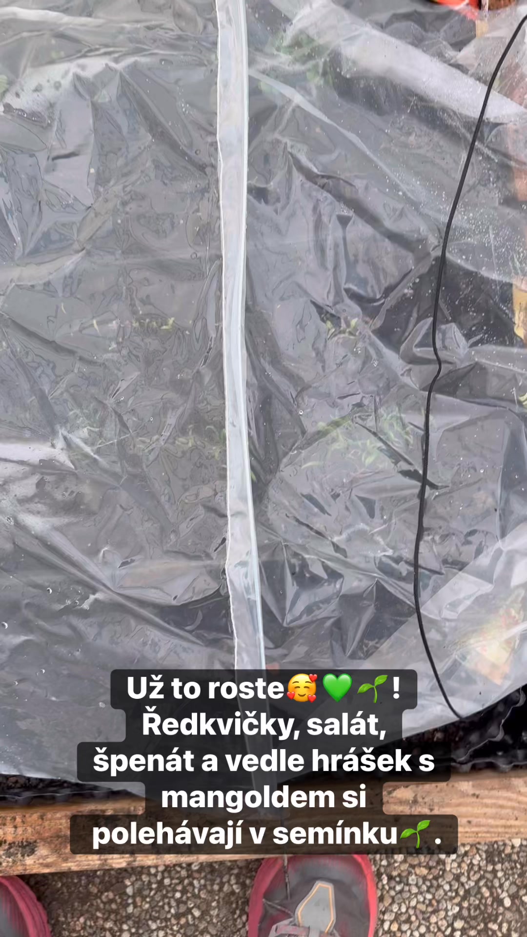 Facebook příspěvek HNOJIK.CZ