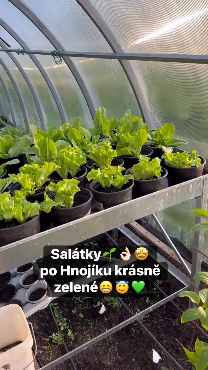 Facebook příspěvek HNOJIK.CZ