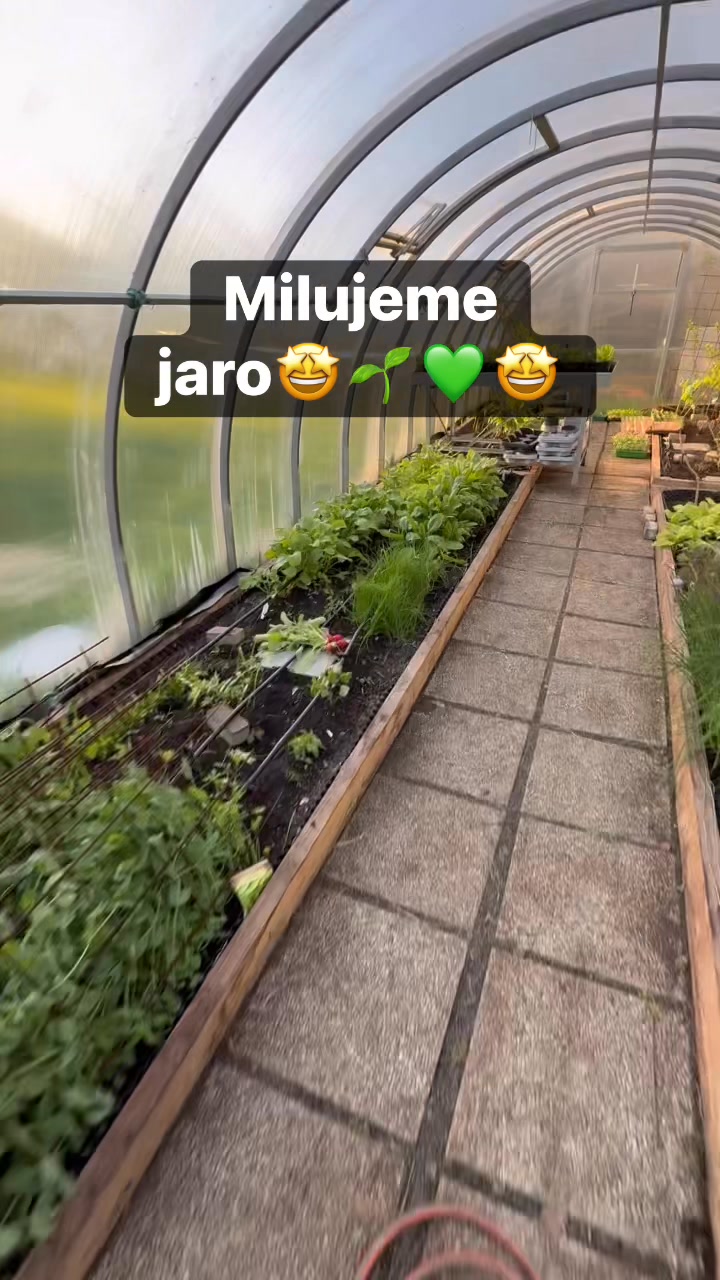 Facebook příspěvek HNOJIK.CZ