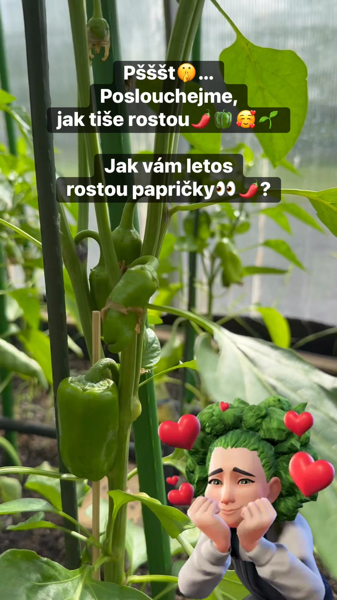 Facebook příspěvek HNOJIK.CZ