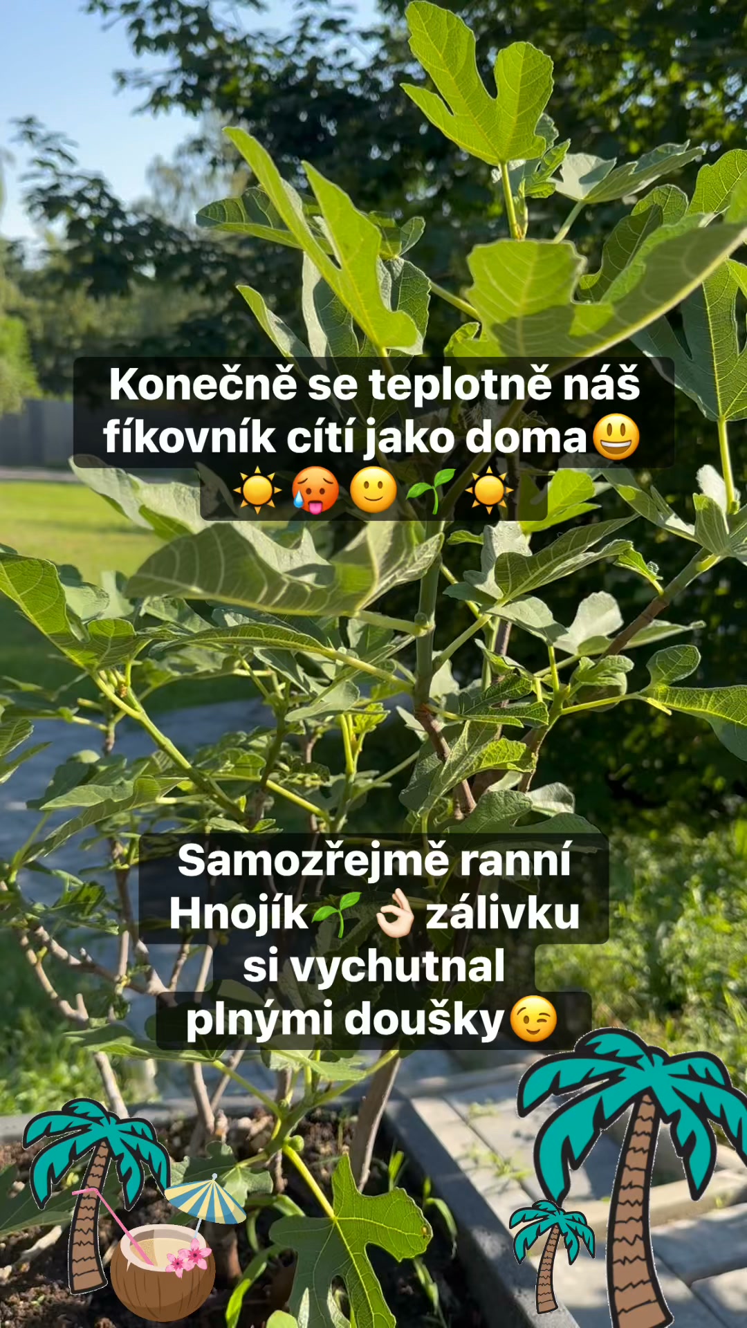 Facebook příspěvek HNOJIK.CZ