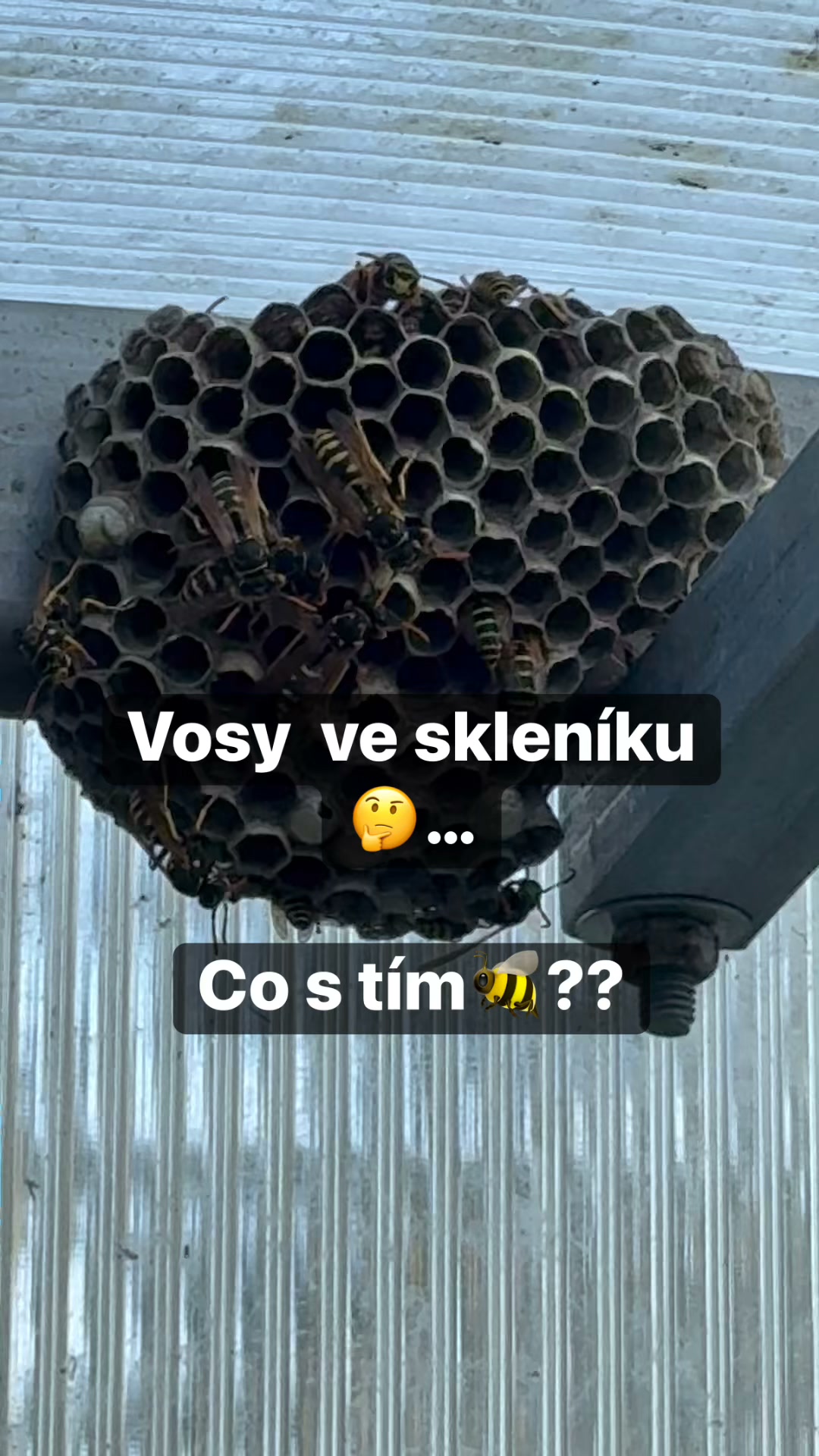 Facebook příspěvek HNOJIK.CZ