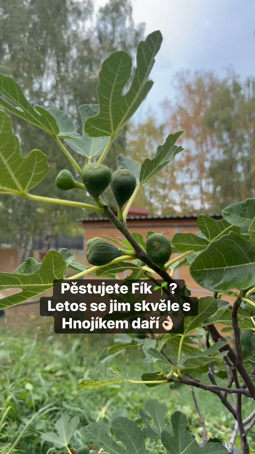 Facebook příspěvek HNOJIK.CZ