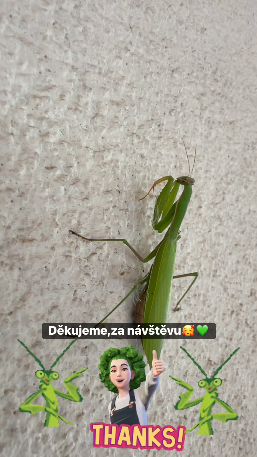 Facebook príspevok HNOJIK.SK
